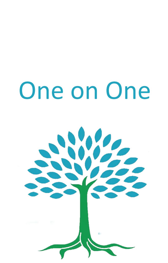 one on one life coaching erica gifford mills